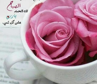 صباح الورد 2017 - صور ورد وزهور Rose Flower images